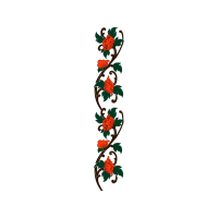 Illustration Flowers Illustration Flowers