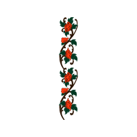 Illustration Flowers Illustration Flowers