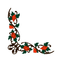 Illustration Flowers Illustration Flowers