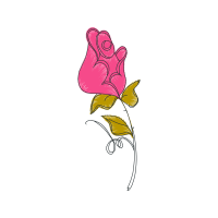 Illustration Flowers Illustration Flowers