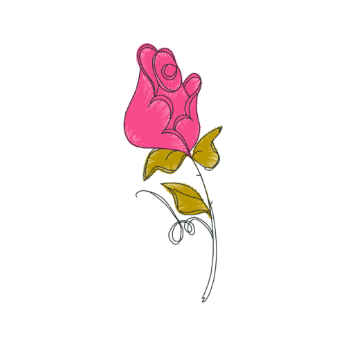 Illustration Flowers Illustration Flowers