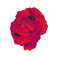 Illustration Flowers Illustration Flowers