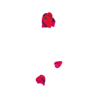 Illustration Flowers