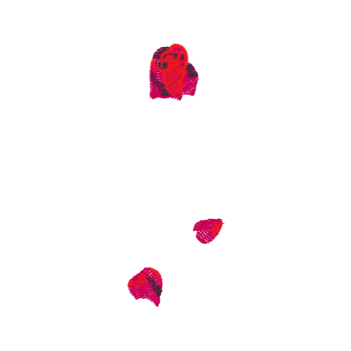 Illustration Flowers Illustration Flowers