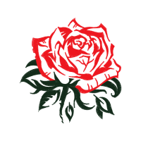 Illustration Flowers