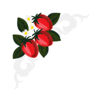 Illustration Flowers Illustration Flowers