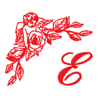 Illustration Flowers Illustration Flowers