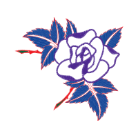 Illustration Flowers