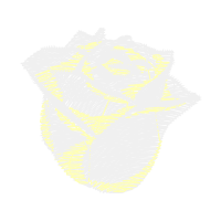 Illustration Flowers