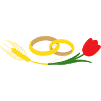 Illustration Flowers Illustration Flowers