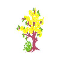 Illustration Flowers