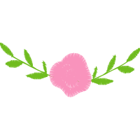 Illustration Flowers