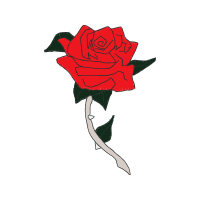 Illustration Flowers