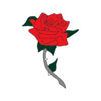 Illustration Flowers