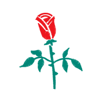 Illustration Flowers