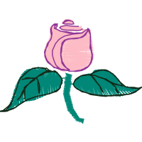 Illustration Flowers