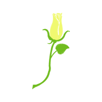 Illustration Flowers