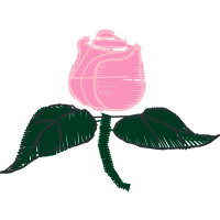 Illustration Flowers