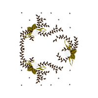 Illustration Flowers Illustration Flowers