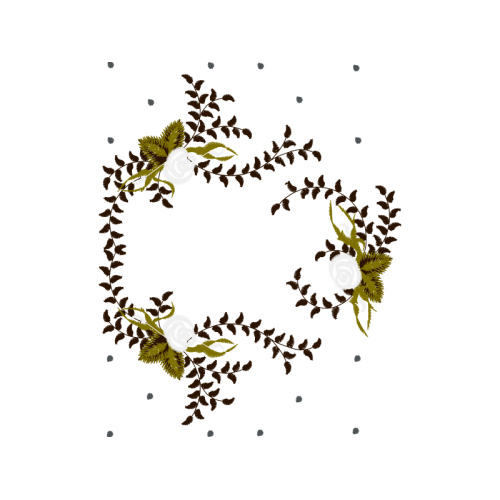 Illustration Flowers Illustration Flowers