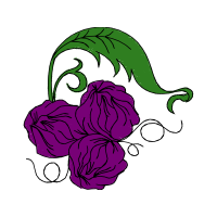 Illustration Flowers
