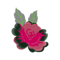 Japanese Camellia Flowers Japanese Camellia Flowers