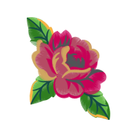 Japanese Camellia Flowers Japanese Camellia Flowers