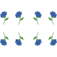 Lavender Flowers Lavender Flowers