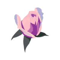 Leatherback Sea Turtle Flowers Leatherback Sea Turtle Flowers