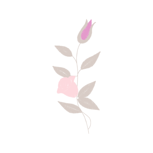 Lilac Flowers Lilac Flowers