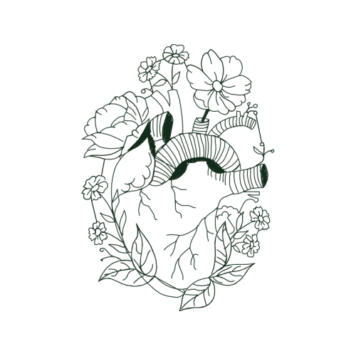 Line Art Flowers Line Art Flowers