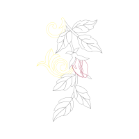 Line Art Flowers