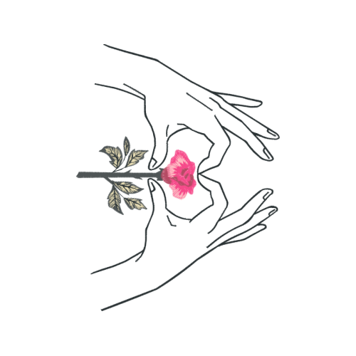 Line Art Flowers Line Art Flowers