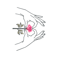 Line Art Flowers Line Art Flowers