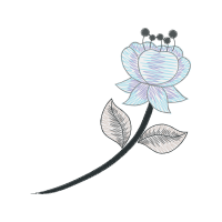 Line Art Flowers Line Art Flowers