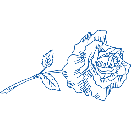 Line Art Flowers Line Art Flowers