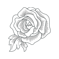 Line Art Flowers Line Art Flowers