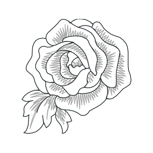 Line Art Flowers Line Art Flowers