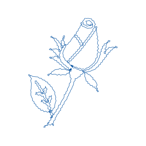 Line Art Flowers Line Art Flowers