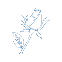 Line Art Flowers Line Art Flowers