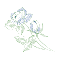 Line Art Flowers Line Art Flowers