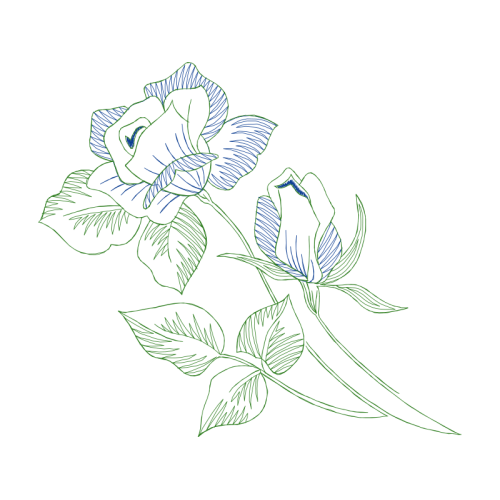 Line Art Flowers Line Art Flowers