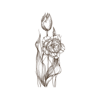 Line Art Flowers Line Art Flowers