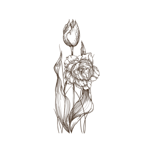 Line Art Flowers Line Art Flowers