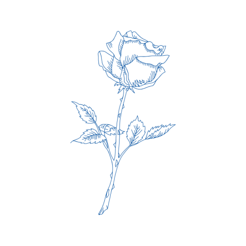 Line Art Flowers Line Art Flowers