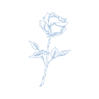 Line Art Flowers Line Art Flowers