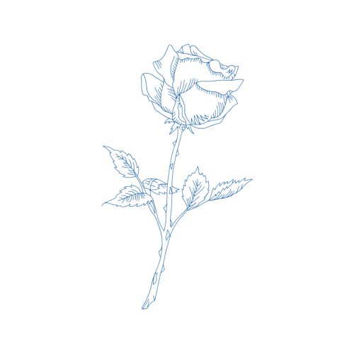 Line Art Flowers Line Art Flowers