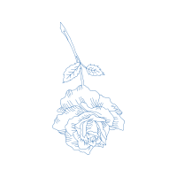 Line Art Flowers Line Art Flowers