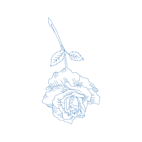 Line Art Flowers Line Art Flowers