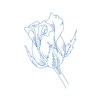 Line Art Flowers Line Art Flowers